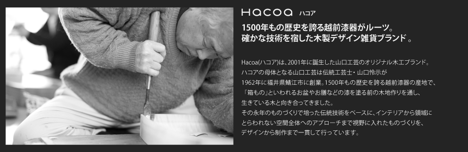 Hacoa公式サイトへ