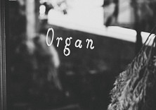 Organ廃番製品のお知らせ
