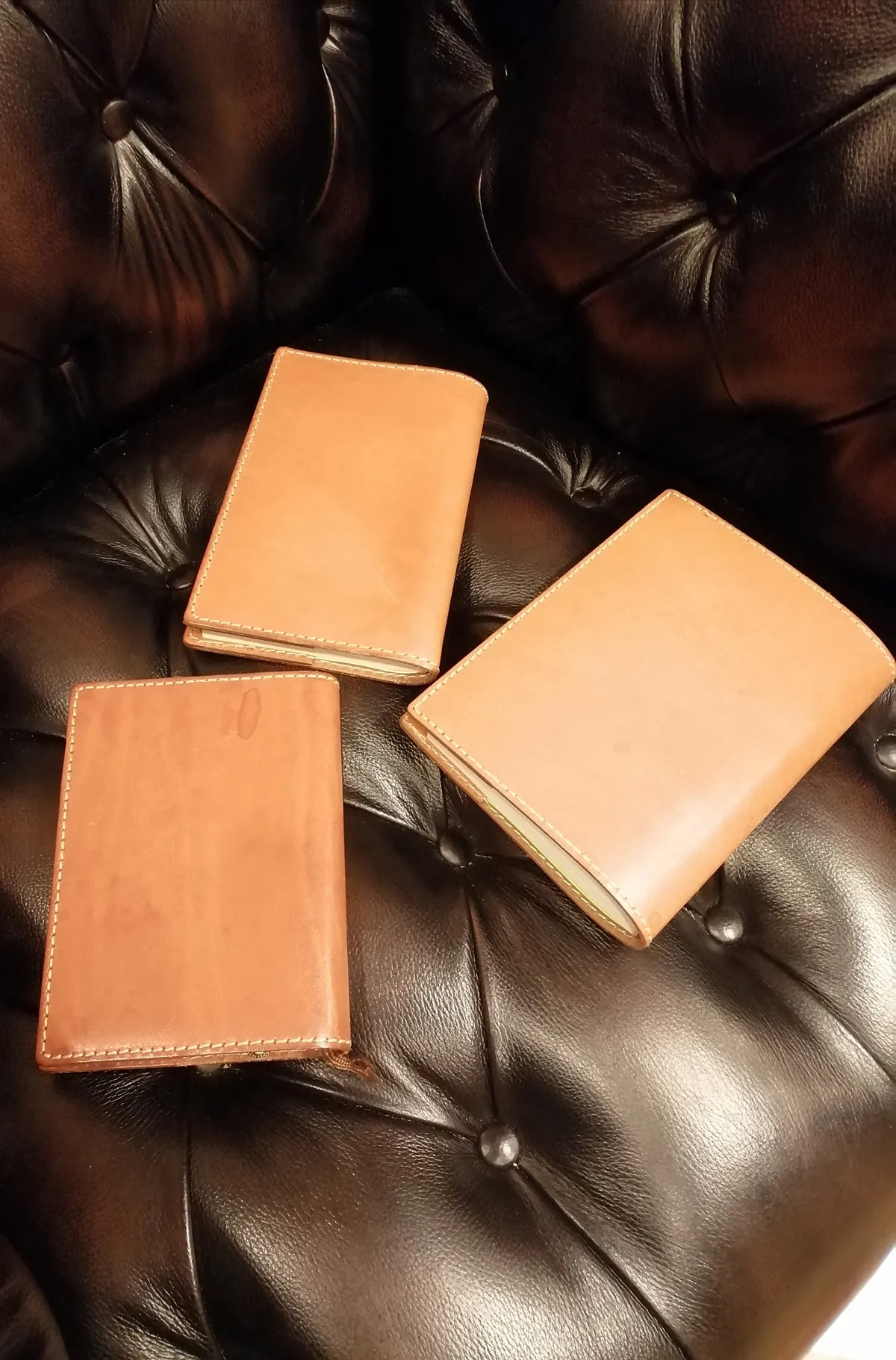 鈴木　絵梨さんの投稿