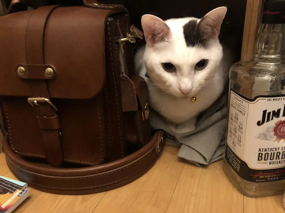 herz ヘルツ サイドポケット・2wayショルダーバック(A-18) 黒 厚革でカッチリとしつつも可愛らしい2wayショルダーバッグ「革鞄