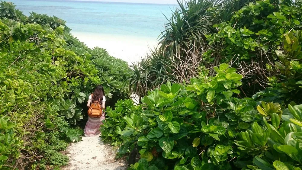 seicaさんの投稿