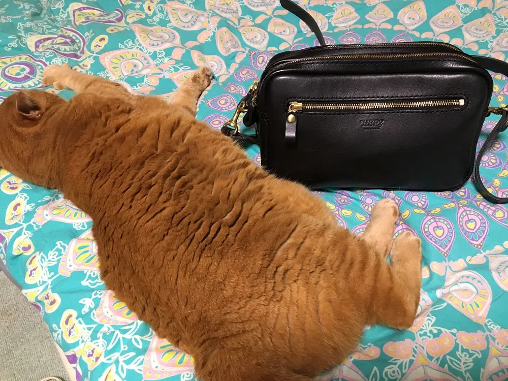 マイさんの投稿