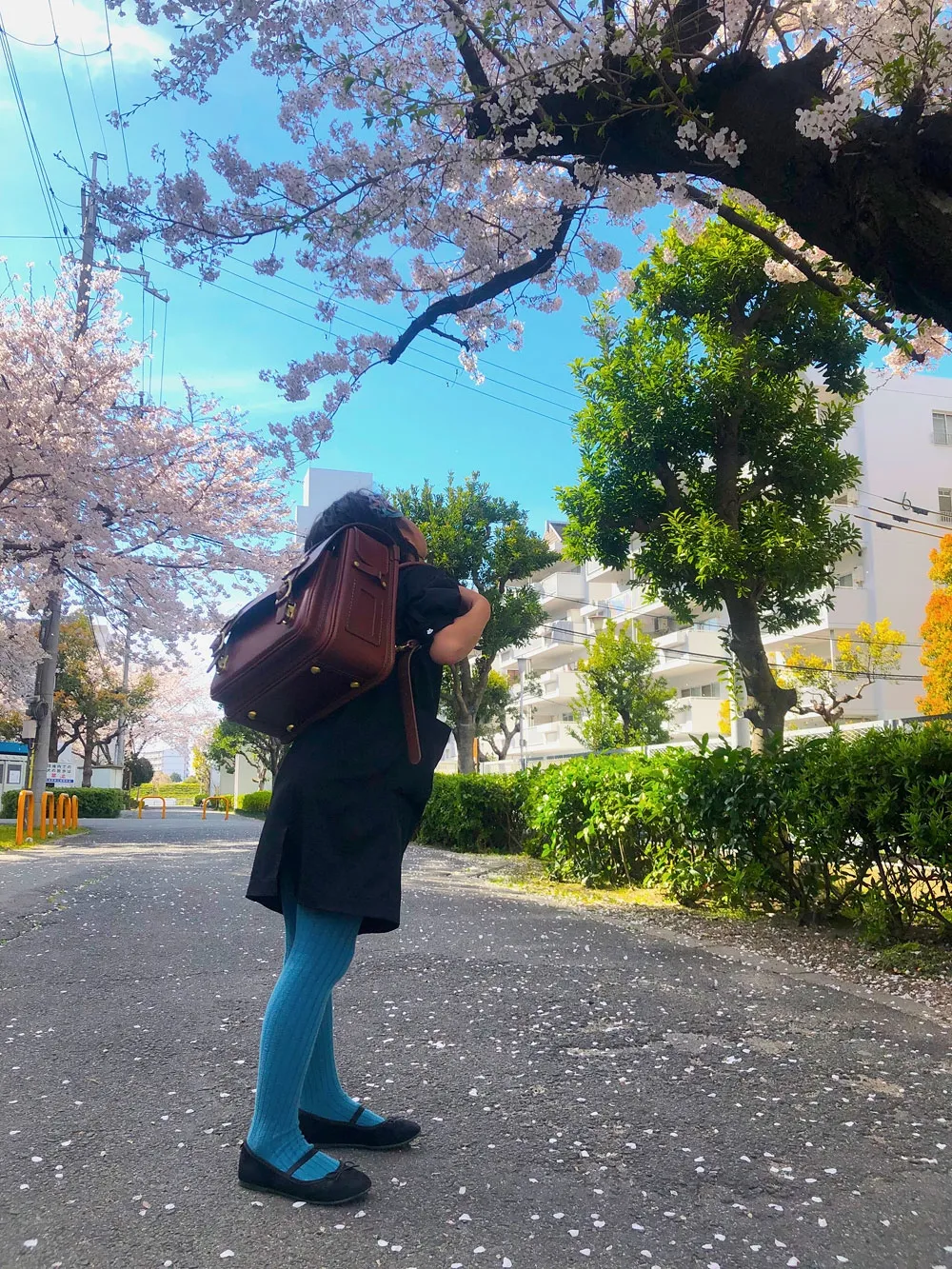 HERZ(ヘルツ)さんの投稿