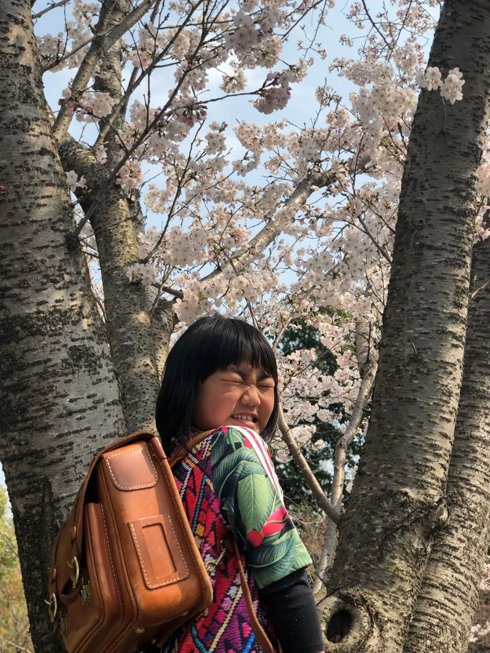 HERZ(ヘルツ)さんの投稿