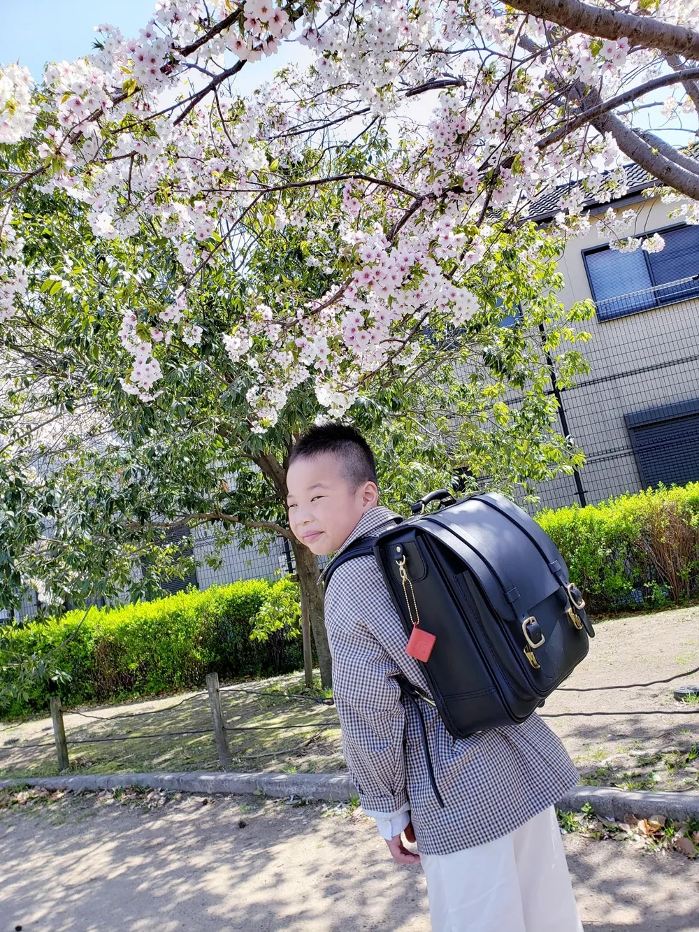 HERZ(ヘルツ)さんの投稿