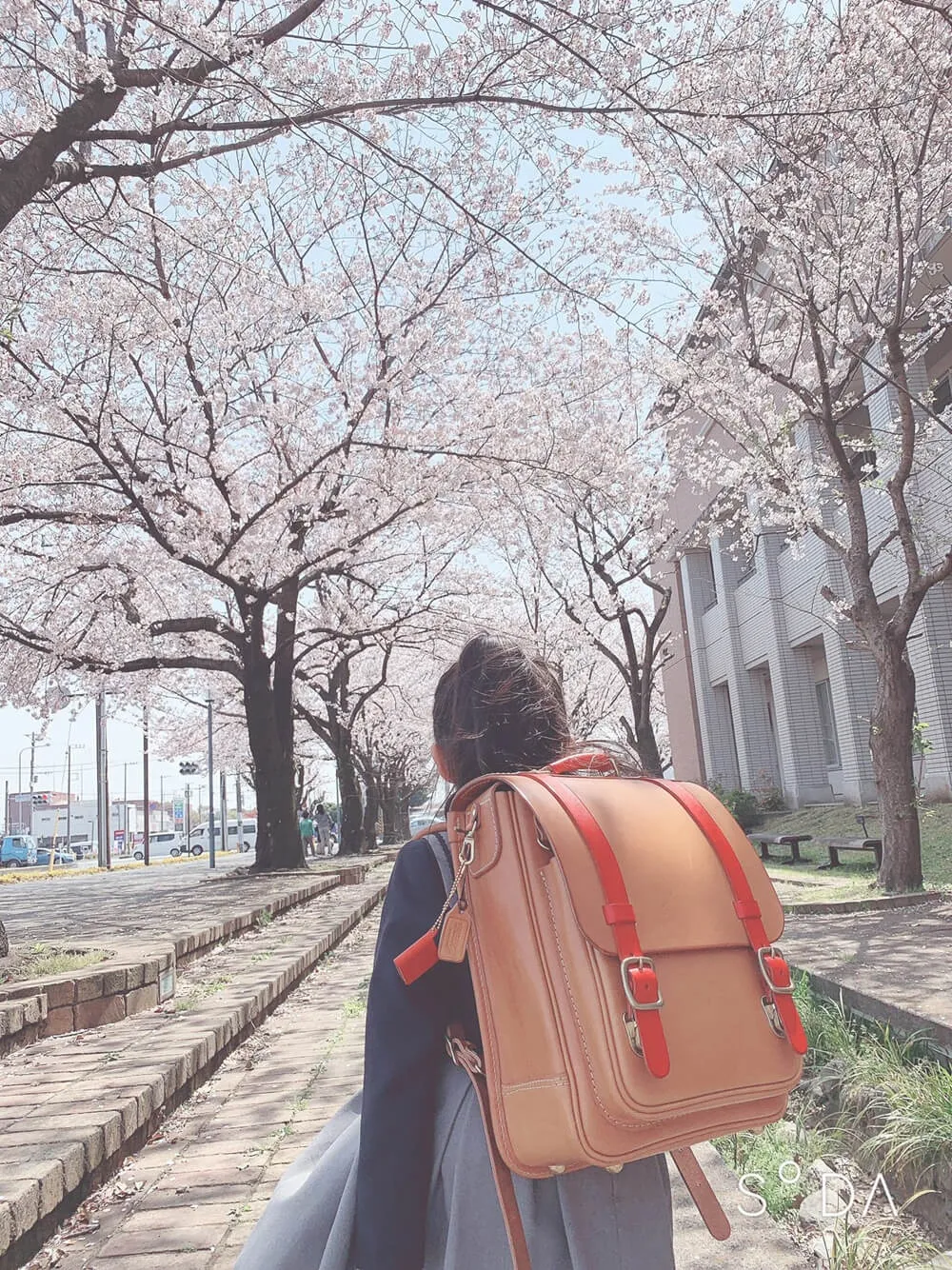 HERZ(ヘルツ)さんの投稿