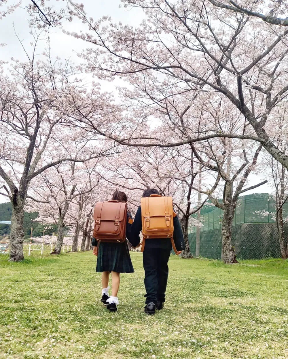 HERZ(ヘルツ)さんの投稿