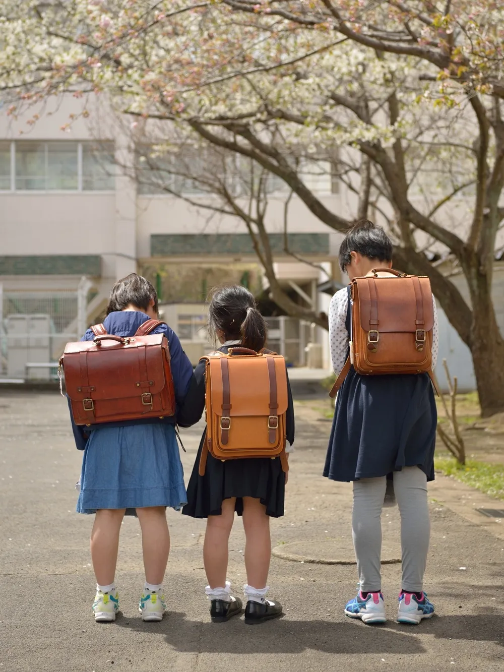 村田　司さんの投稿