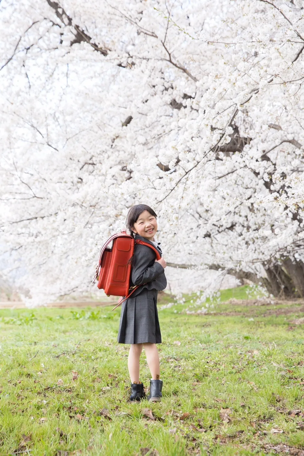 HERZ(ヘルツ)さんの投稿