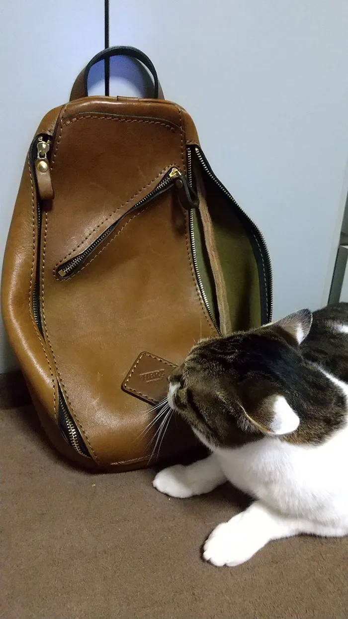 たけのこさんの投稿