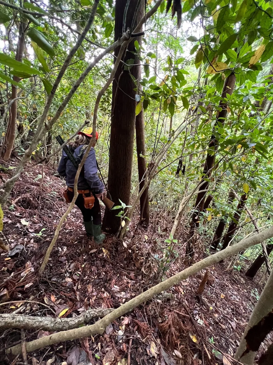 じろーさんの投稿