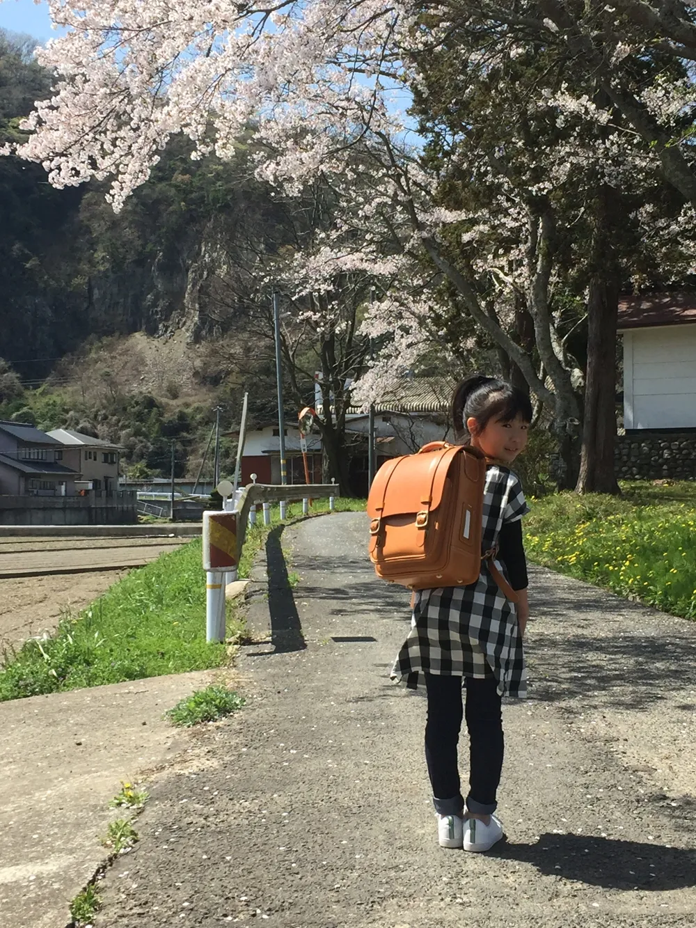 HERZ(ヘルツ)さんの投稿