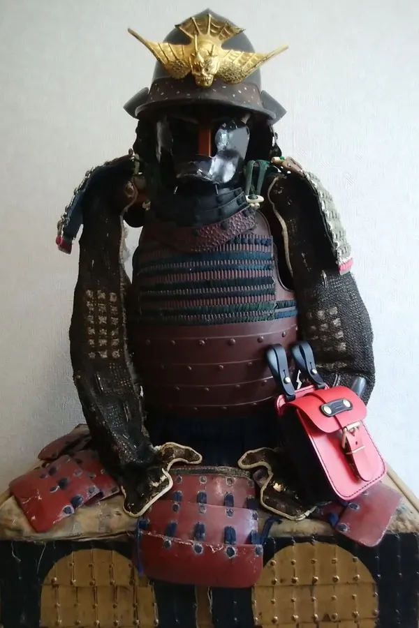 チャロねこさんの投稿