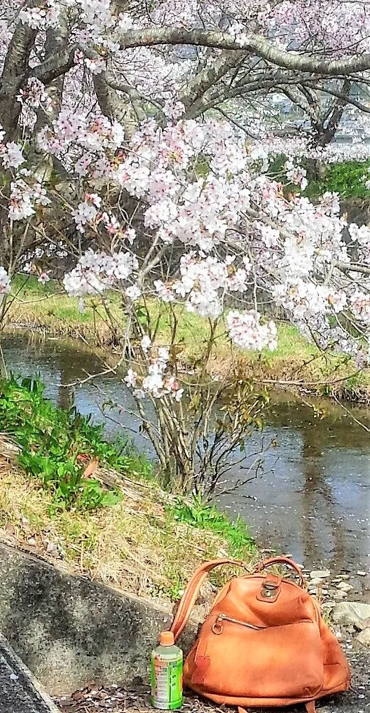 田中丸　香さんの投稿