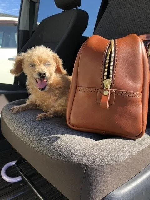 おぽん　y.oさんの投稿