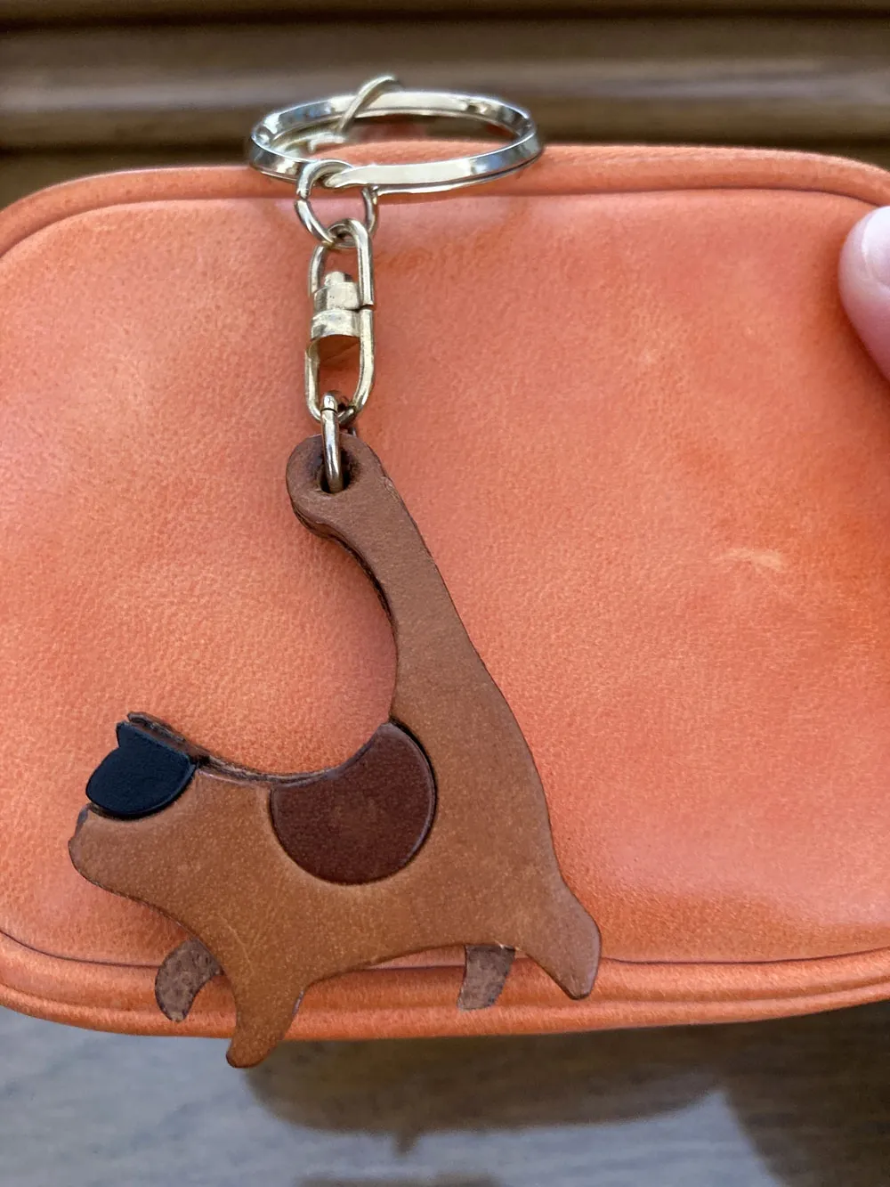 いさごさんの投稿