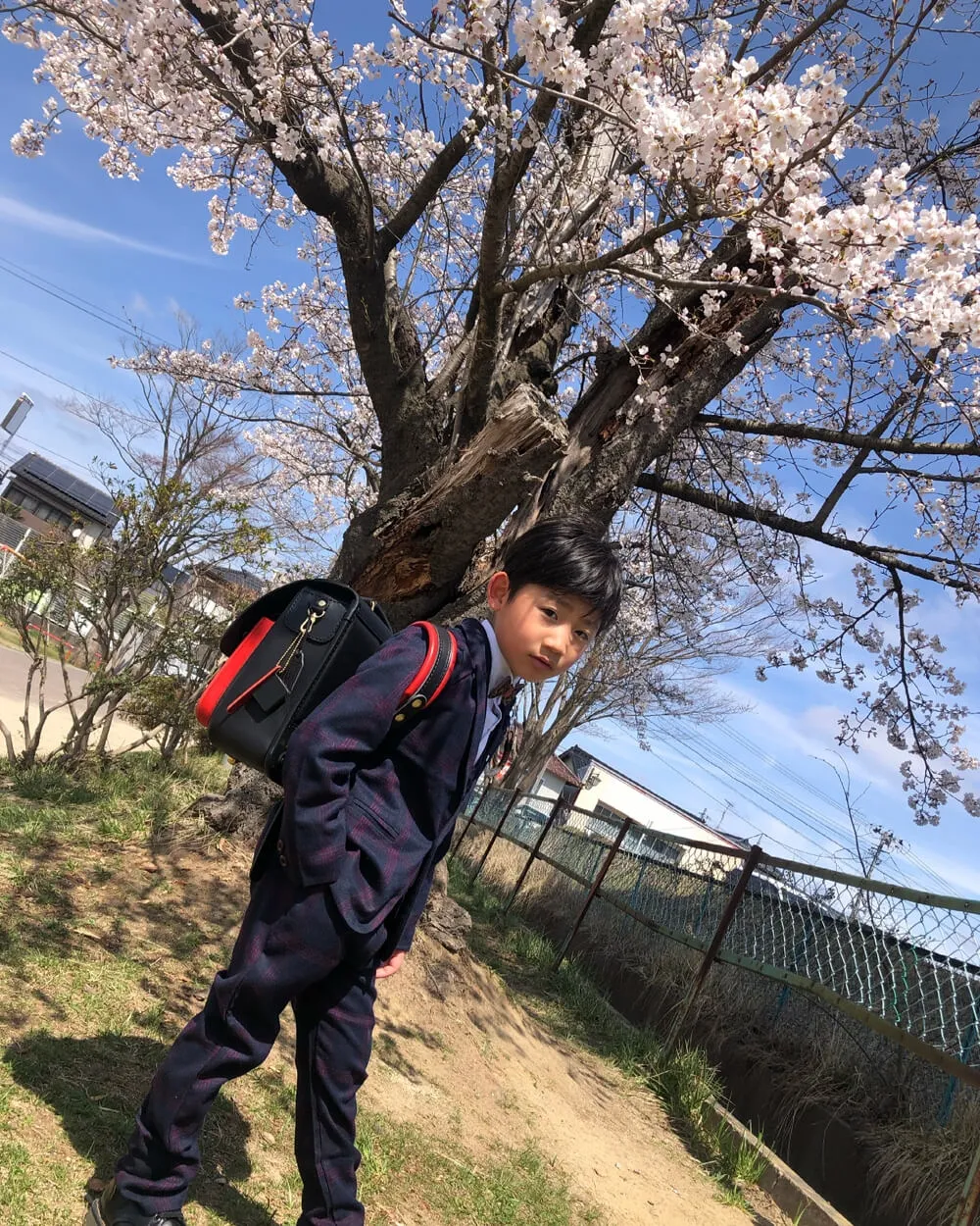 HERZ(ヘルツ)さんの投稿