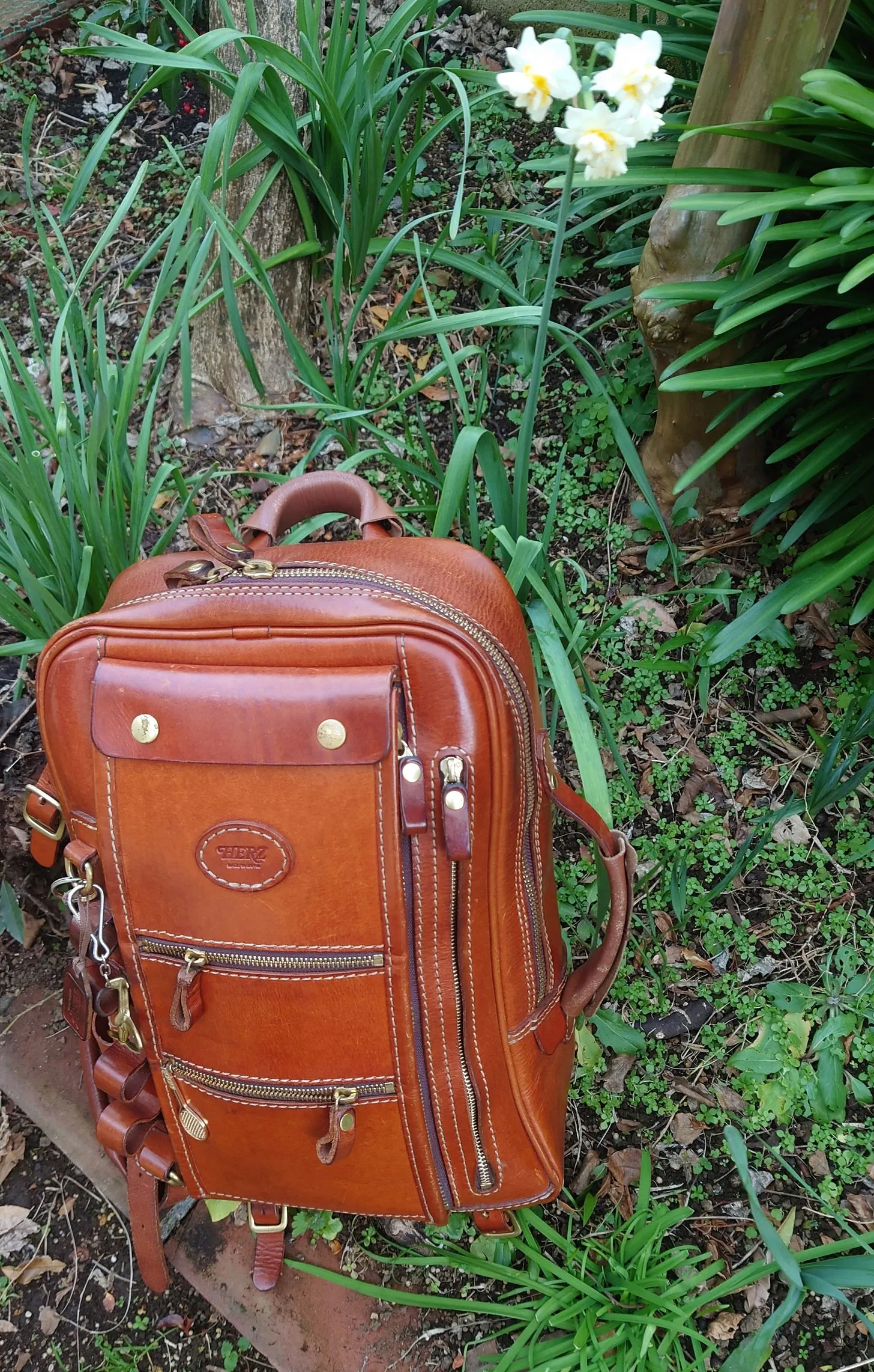 藤澤　弘喜さんの投稿