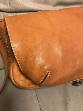 ゴロリさんの投稿