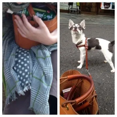 ランタンフェス開催中^_^さんの投稿