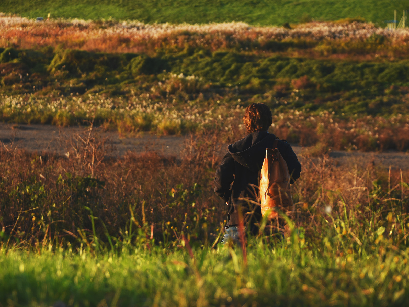 河川敷 -Scene book-