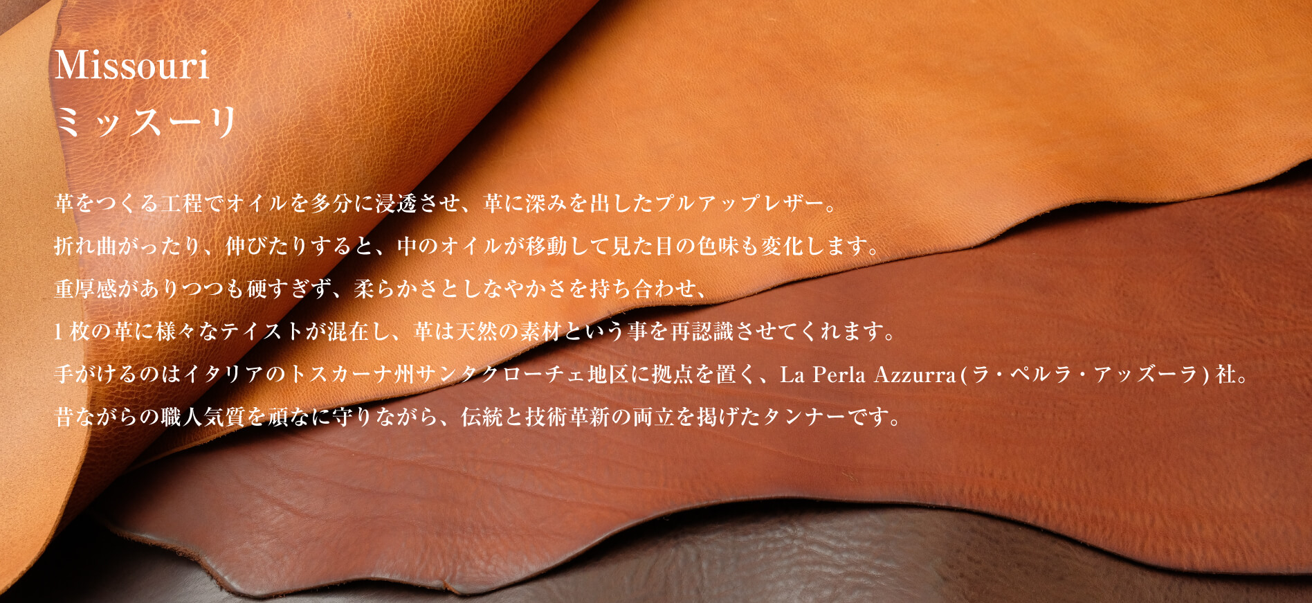 ミッスーリ(Missouri)について