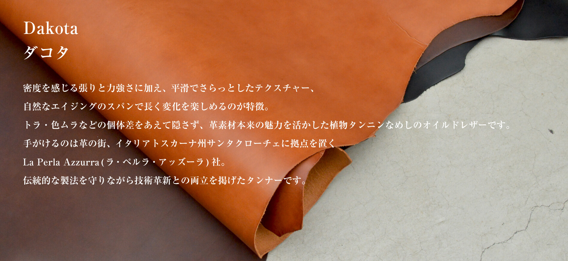 ダコタ(Dakota)について