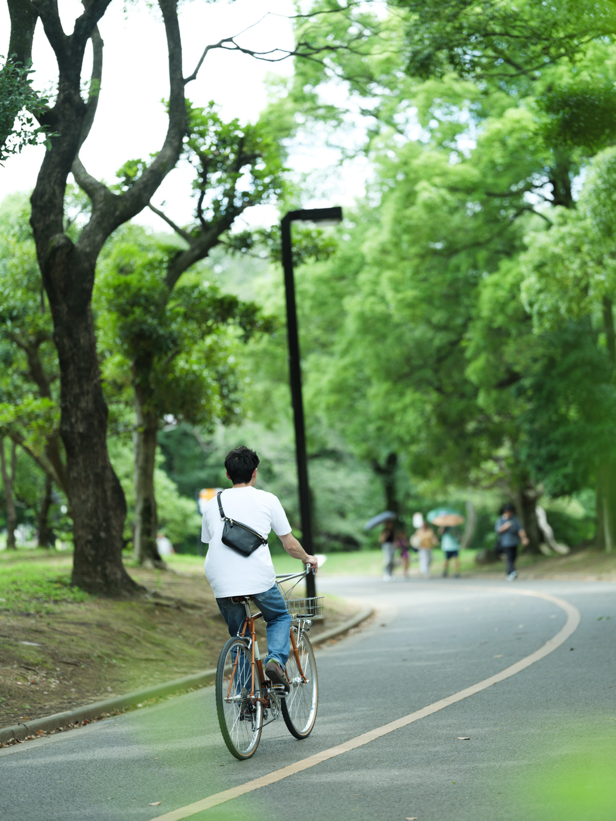 プチポッシュ(F-15)　自転車と3