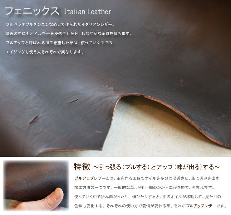 フェニックスについて