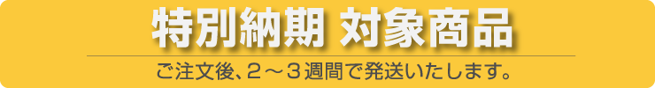 オンライン特別納期