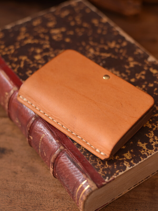 BOOK CARDCASE POCHI 定番革仕様(NQT-6)　本のイメージ