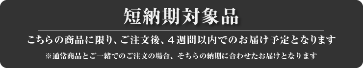 短納期対象品