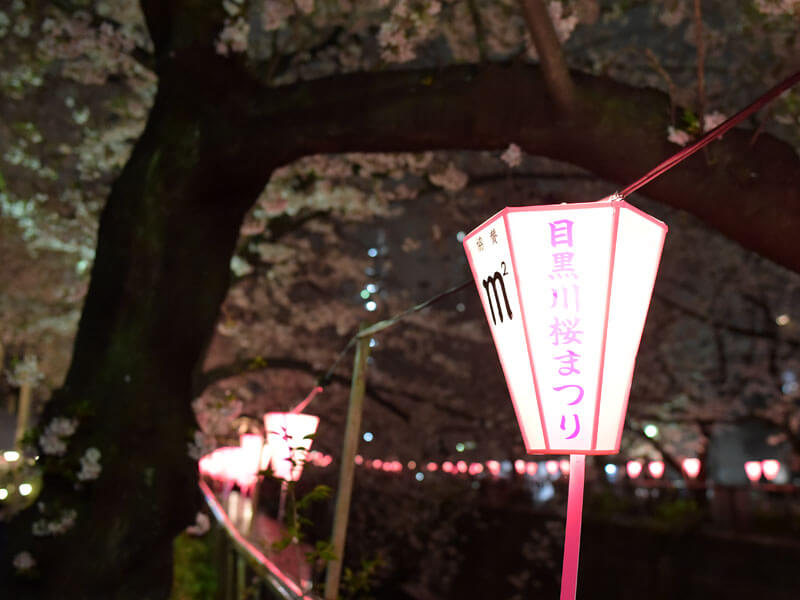 目黒川桜まつり