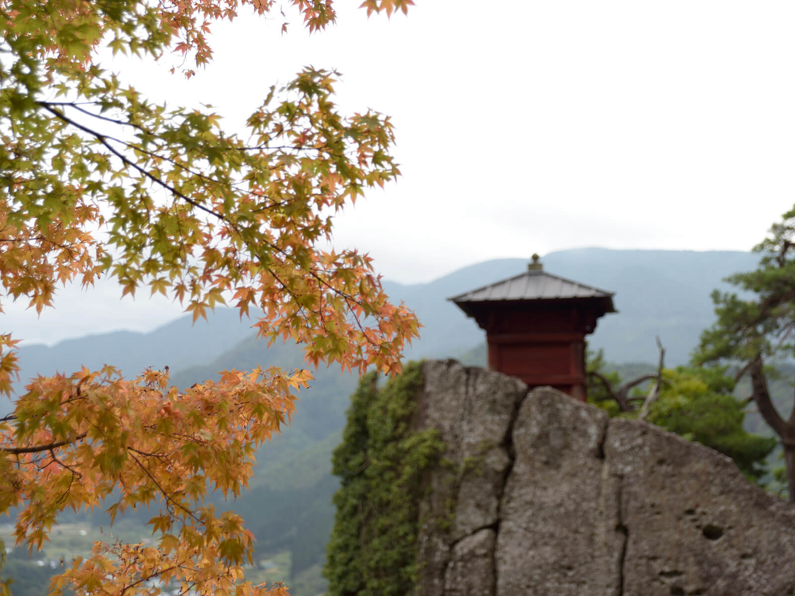旅モノ2016 ～オンラインスタッフ：小野寺のプチ旅行記～
