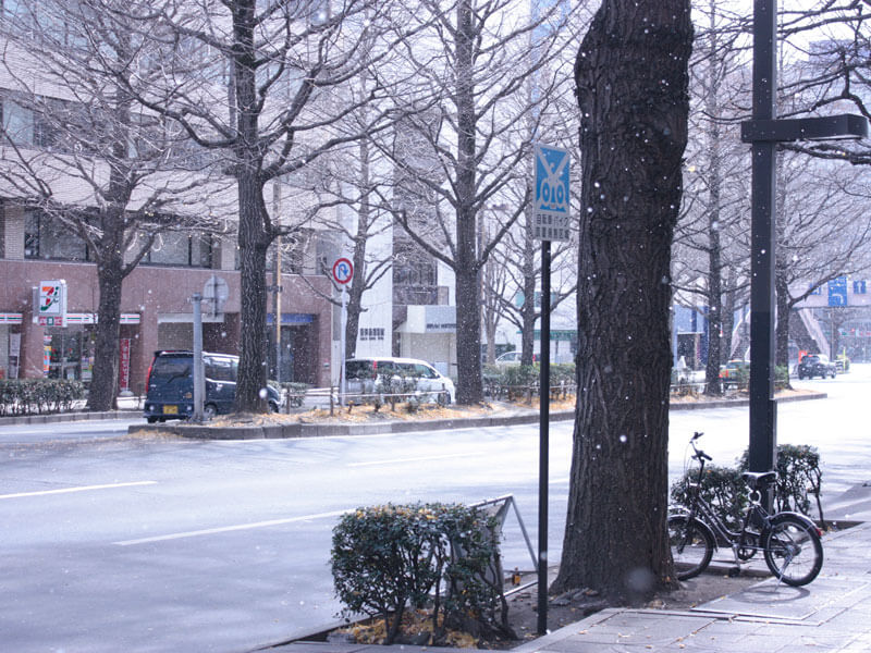 １仙台初雪