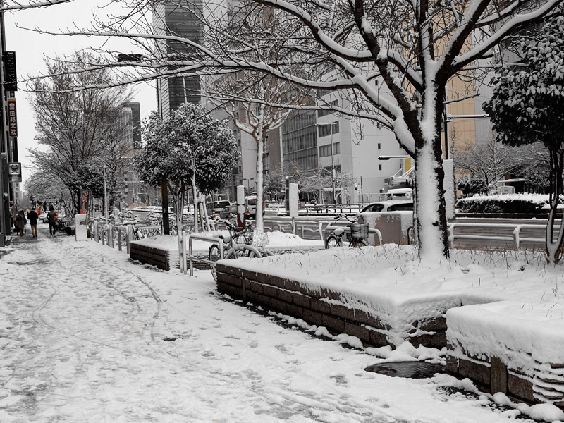 名古屋店前の雪2