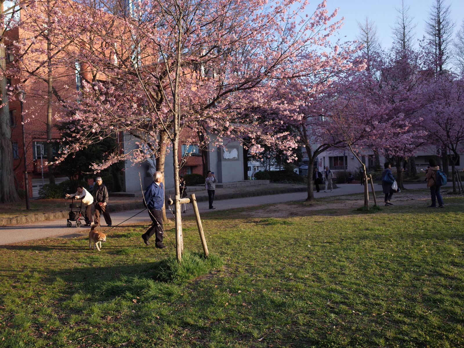 仙台の公園