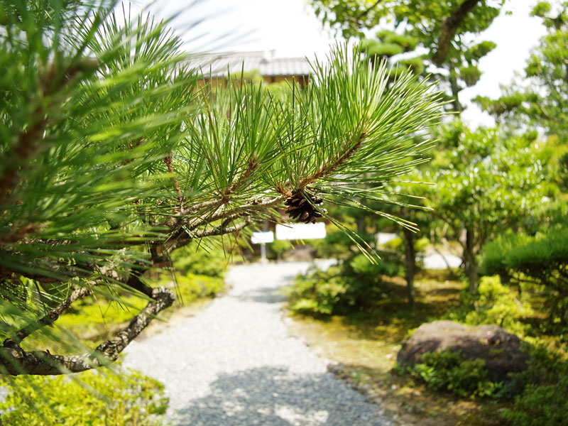 明治村の庭園