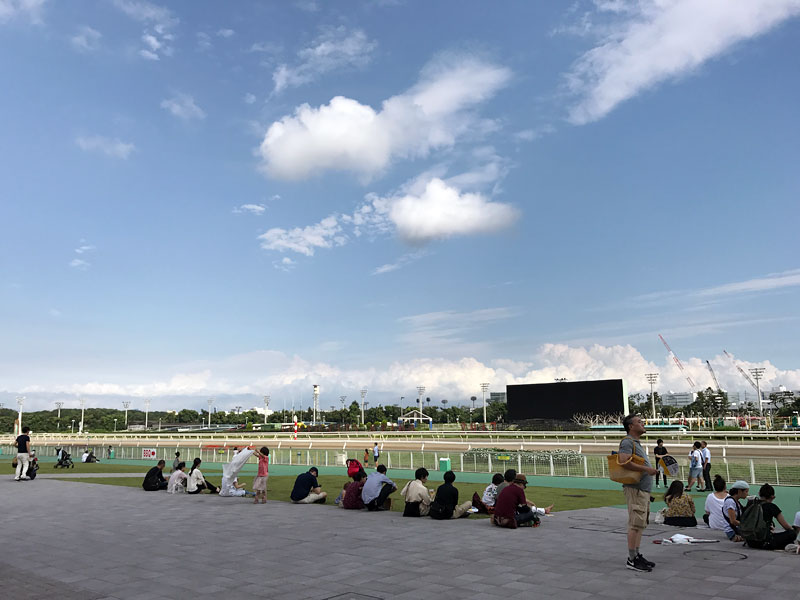 真夏の東京蚤の市　開催風景