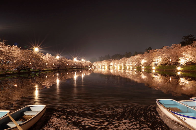 弘前公園の夜桜