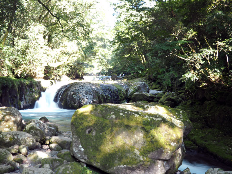 熊本県菊池渓谷