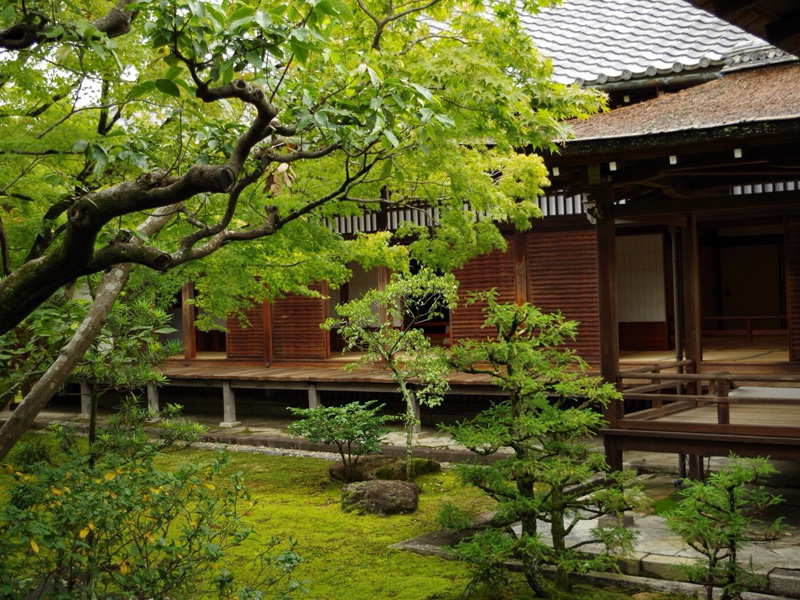 大阪研修時、仁和寺の風景