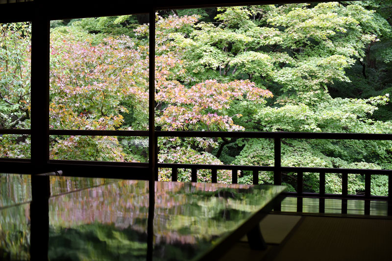 京都の瑠璃光院