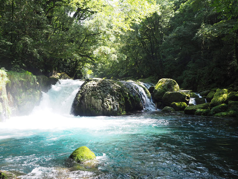 夏のお出かけ