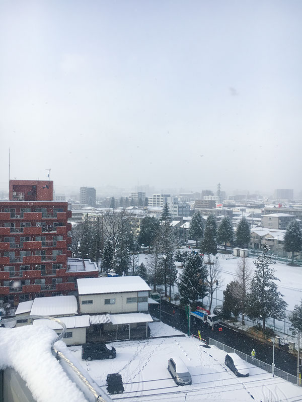 仙台の雪景色