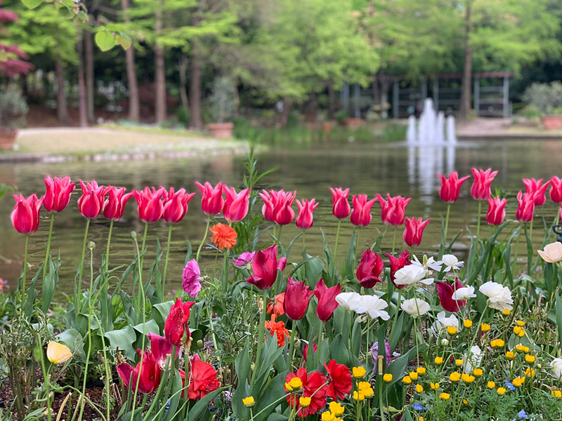 花の都パリへ