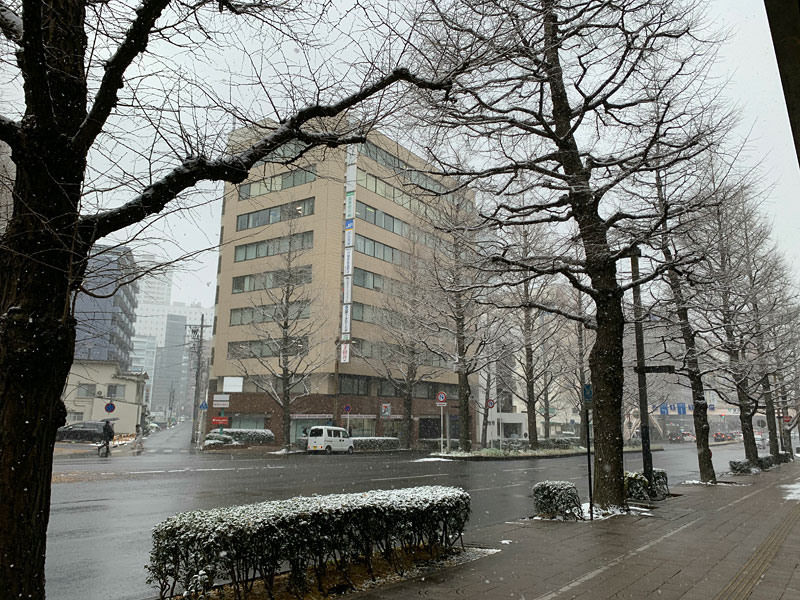 仙台店近くの雪の様子