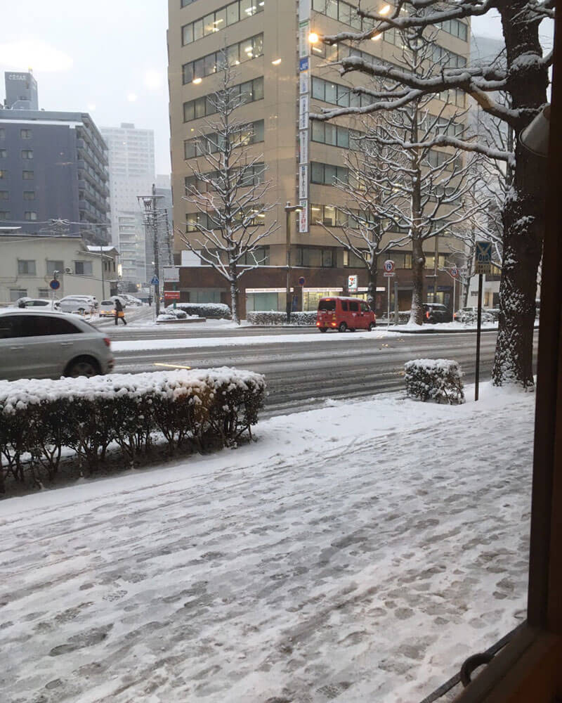 仙台の雪の様子2023