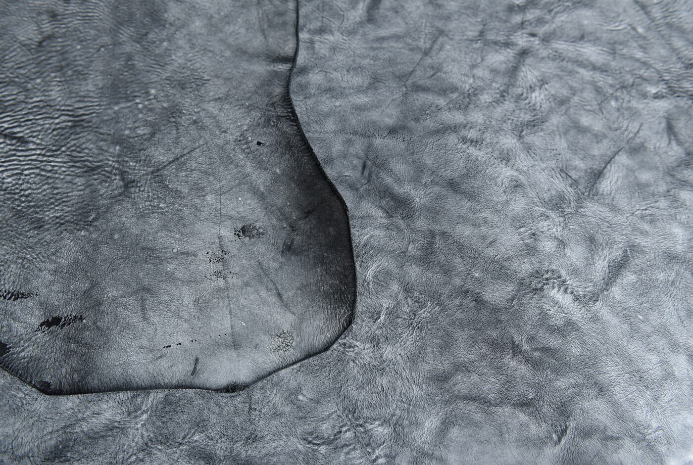 アラスカ革について