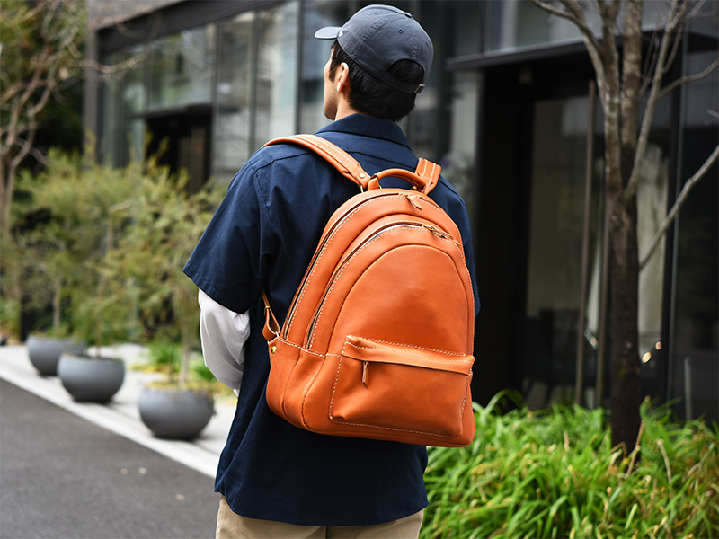 リッジパック(AIB-2605)1